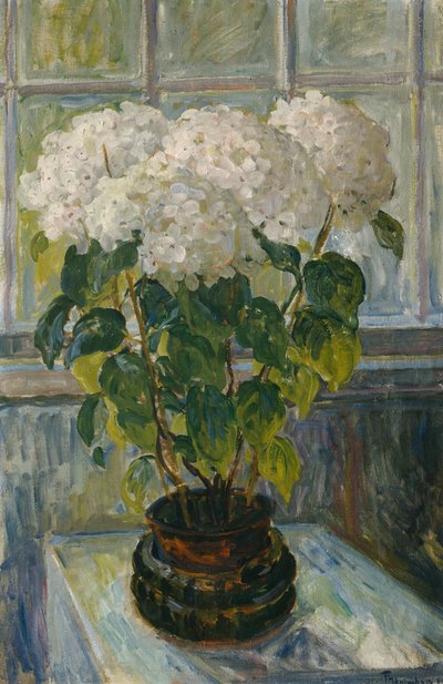 Hortensia de Thorolf Holmboe