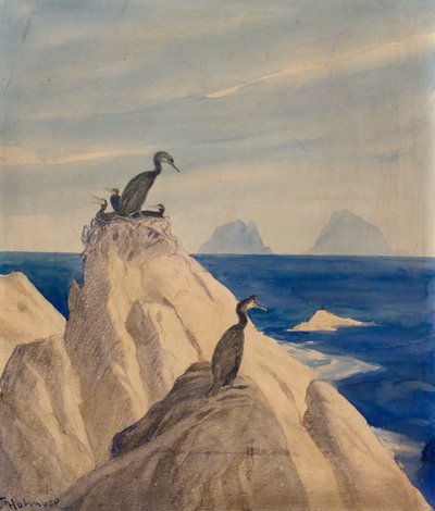 Alcatraces del norte (lápiz y acuarela sobre papel) de Thorolf Holmboe