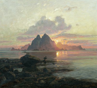 Phalacrocoarax aristotelis en el sol de medianoche de Thorolf Holmboe