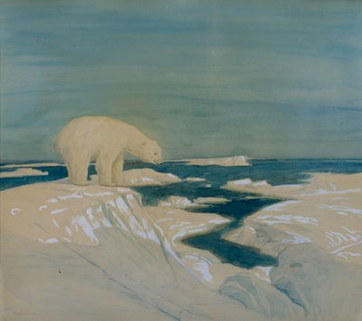Oso polar (acuarela sobre papel) de Thorolf Holmboe
