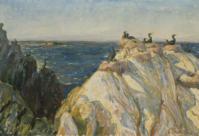 Ave marina de Thorolf Holmboe