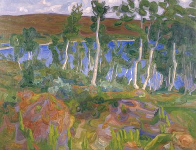 Desde Røros de Thorvald Erichsen
