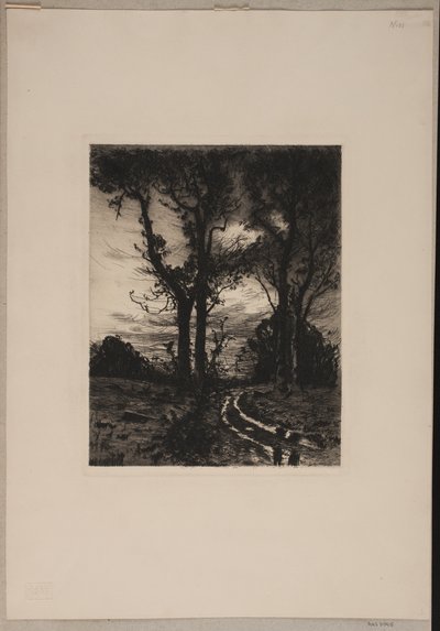 Camino empinado entre árboles de Thorvald Niss