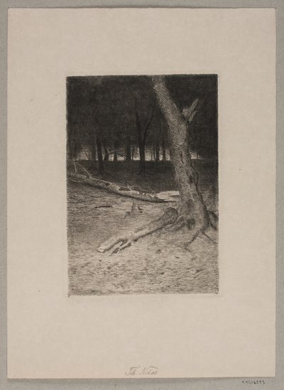 Paisaje forestal. Tarde de Thorvald Niss
