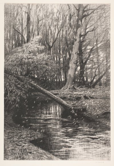 Paisaje forestal con un arroyo de Thorvald Niss