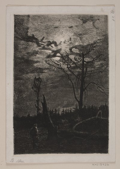 Desmonte. Tarde de Thorvald Niss