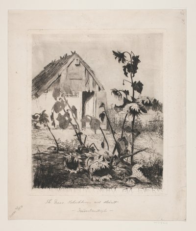 Girasoles en la casa de Thorvald Niss