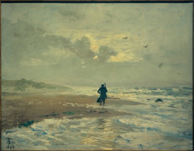 Vista de la playa. Grenen cerca de Skagen de Thorvald Niss