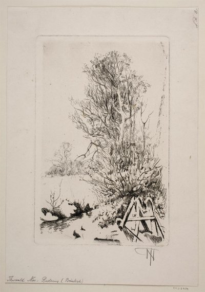 Árboles junto a un arroyo de Thorvald Niss