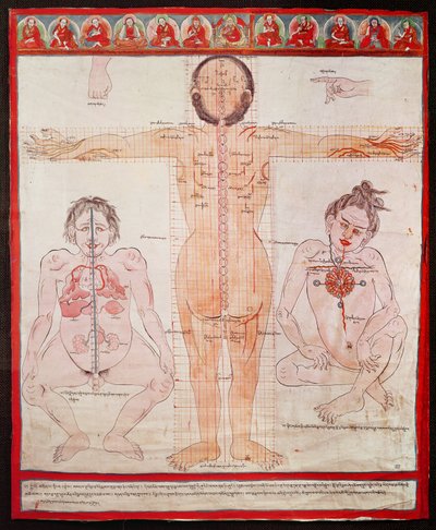 Tabla Anatómica, 1938 de Tibetan School