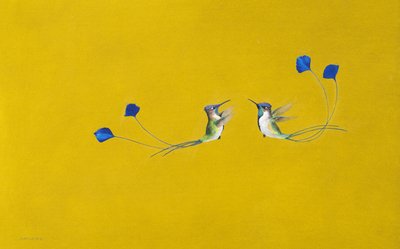 Colibríes de Tim Hayward
