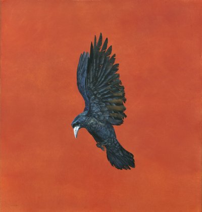 Brillo-Rojo de Tim Hayward