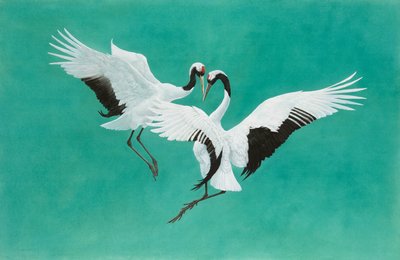El Baile-Verde de Tim Hayward