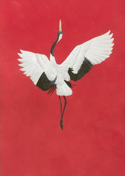 El Baile-Rojo de Tim Hayward