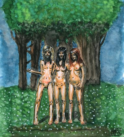 Ninfas etéreas del bosque de Tim Hoinkis