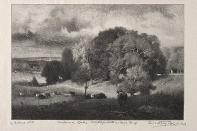 Robles de otoño de Timothy Cole