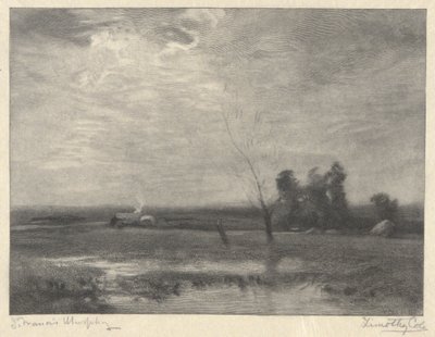 Paisaje, Tarde de Timothy Cole