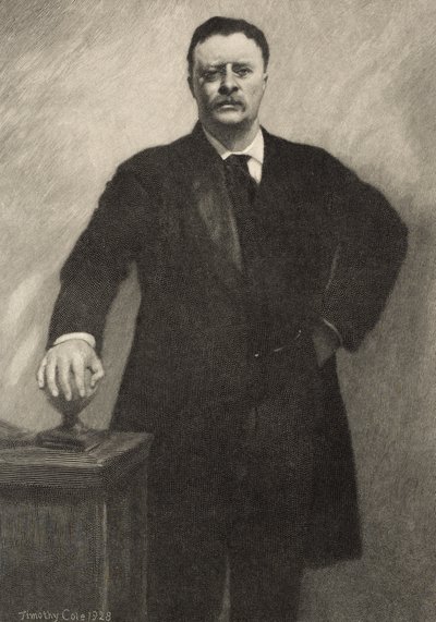 Theodore Roosevelt, 1928 de Timothy Cole