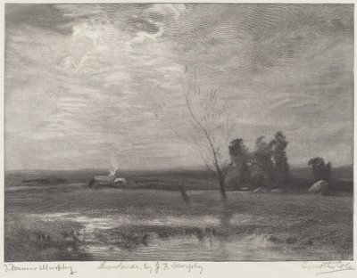 Tierras bajas de Timothy Cole after John Francis Murphy