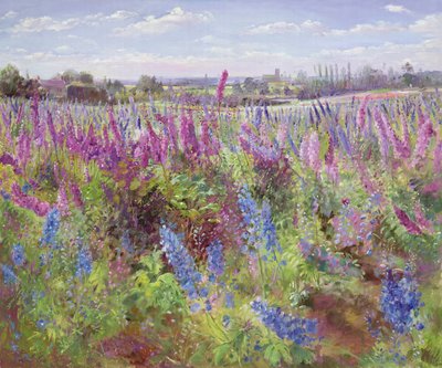 Campo de delphiniums y iglesia de Timothy Easton