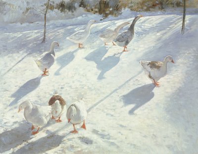 En dos direcciones de Timothy Easton