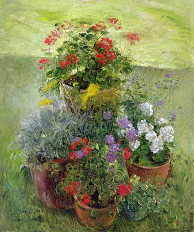 Macetas sombreadas de Timothy Easton