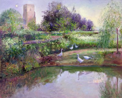 Reflejos al atardecer de Timothy Easton