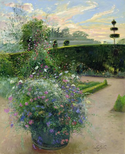 Margaritas blancas contra el enrejado de guisantes de olor de Timothy Easton
