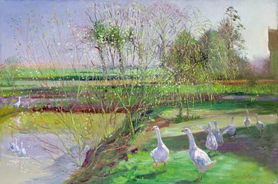 Sauce y gansos de Timothy Easton