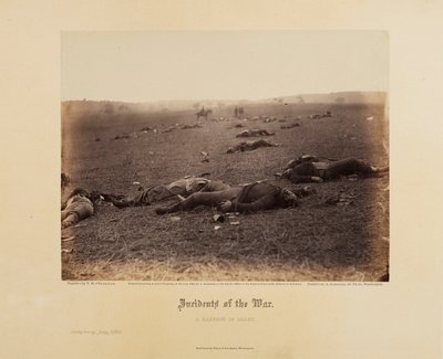 Incidentes de la guerra: una cosecha de muerte de Timothy H. O