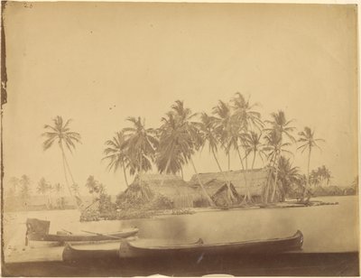 [Bahía de Limón, Istmo de Darién (Panamá)]. de Timothy H. OSullivan