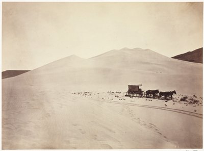 Sand Dunes, Carson Desert, Nevada de Timothy H. O