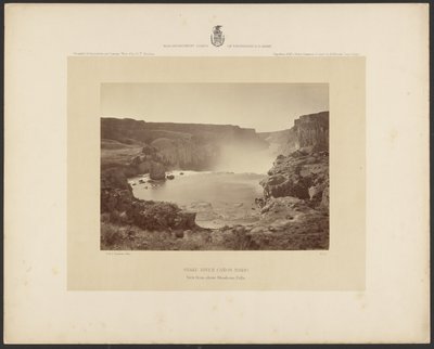 Cañón del río Snake, Idaho, vista desde encima de las cataratas Shoshone de Timothy H. OSullivan