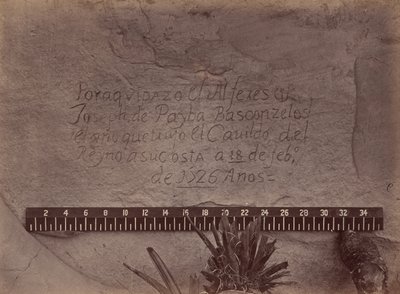 Exploraciones y estudios geográficos y geológicos al oeste del meridiano 100 de Timothy O
