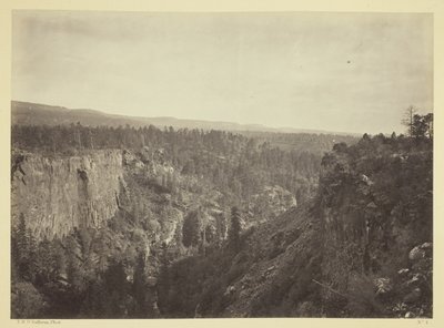 Cañón North Fork, Arroyo Sierra Blanca, Arizona de Timothy O