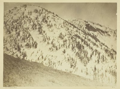 Snow Peaks, Distrito Minero de Bull Run, Nevada de Timothy O