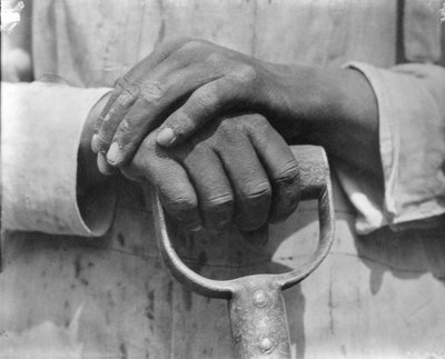 Manos de un Trabajador de la Construcción, México, 1926 de Tina Modotti