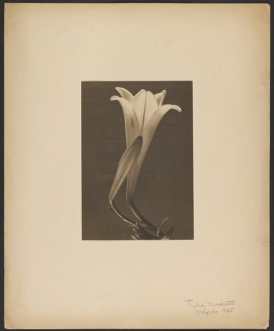 No. 1. de Tina Modotti
