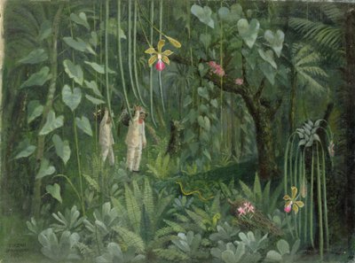 Cazadores de orquídeas de Brasil de Tirzah Ravilious