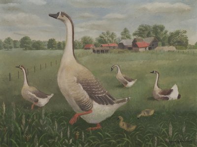 ¿Por dónde vas a vagar? de Tirzah Ravilious