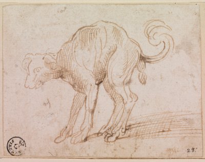 Detalle de un perro cruzando el Mar Rojo (pluma y tinta sobre papel) de Titian (c.1488 1576)
