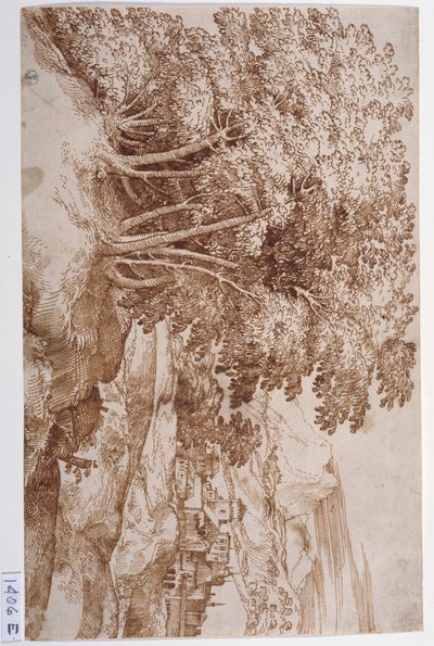 Paisaje con árboles a la izquierda y una ciudad al fondo (pluma y tinta sobre papel) de Titian (c.1488 1576)