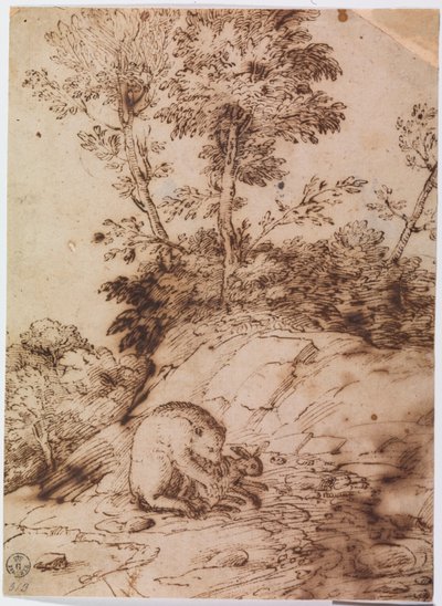 A Bear Eating a Rabbit (pluma y tinta sobre papel) de Titian (c.1488 1576)