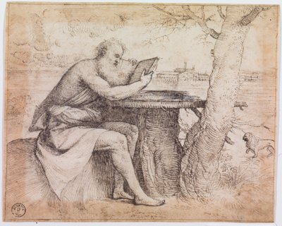 San Jerónimo en un paisaje (pluma y tinta sobre papel) de Titian (c.1488 1576)