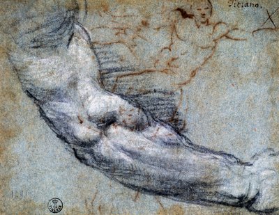 Estudio de brazo, por Tiziano (ca 1488-1576), dibujo de Titian (c.1488 1576)