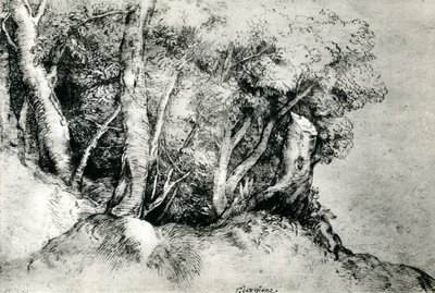 Paisaje forestal, c1516-1518 de Tiziano Vecelli