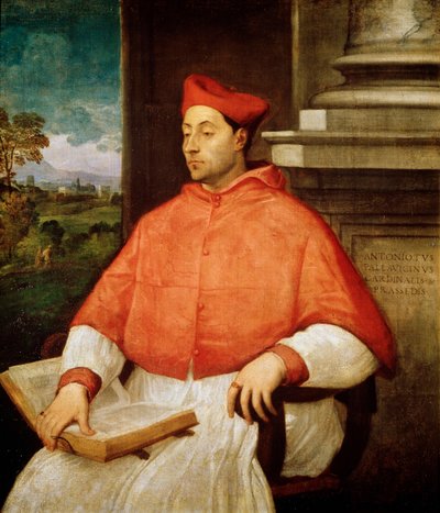 Retrato del Cardenal Antonio Pallavicini, 1441-1507 de Tiziano Vecelli