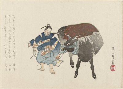 joven con buey de Tôkyo