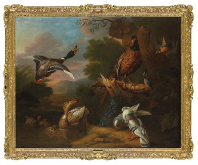 Un faisán, palomas, patos y martines pescadores con un ánade real levantando el vuelo en un estanque arbolado, un paisaje más allá (óleo sobre lienzo) de Tobias (circle of) Stranover