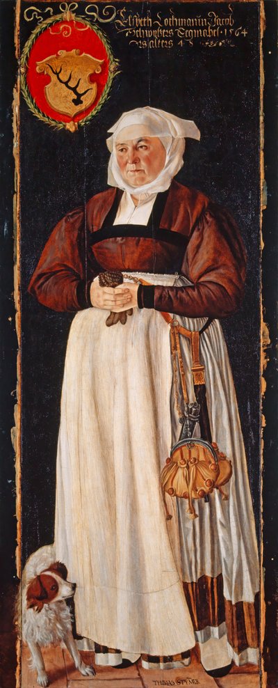 retrato de Eslbeth Lochmann, esposa de Jacob Schwytzer, 1564 de Tobias Stimmer